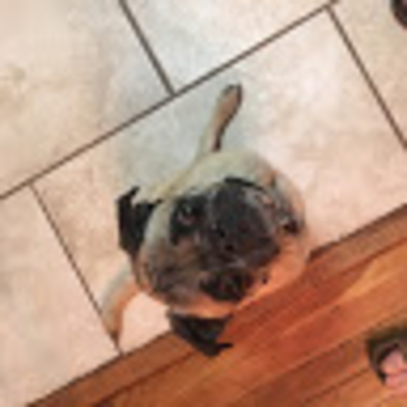 rizzo_rizzo
